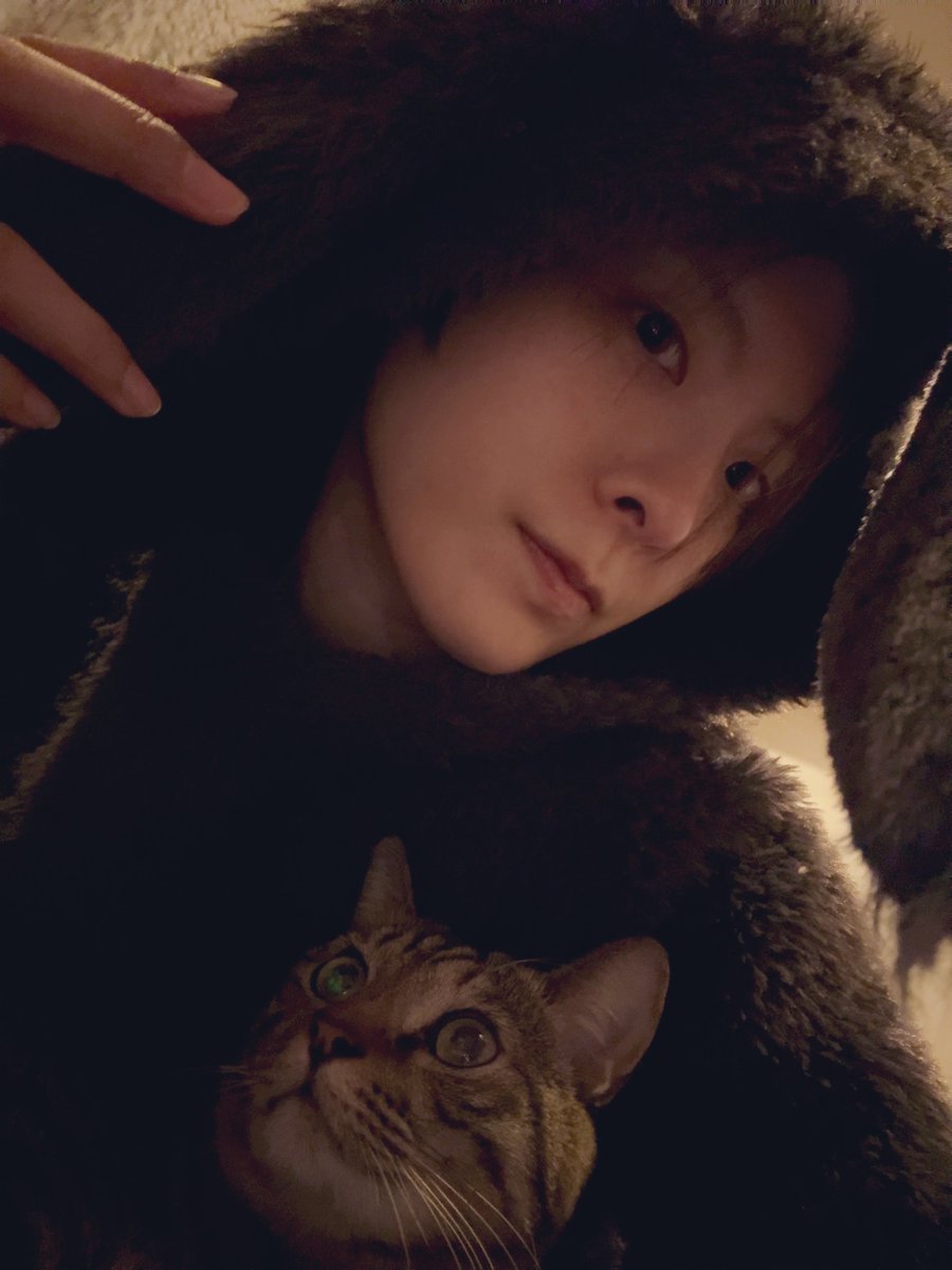 寒いから最近よく寄り添ってくる🐯
