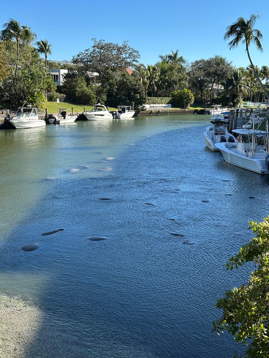 Vince Lago tweet media