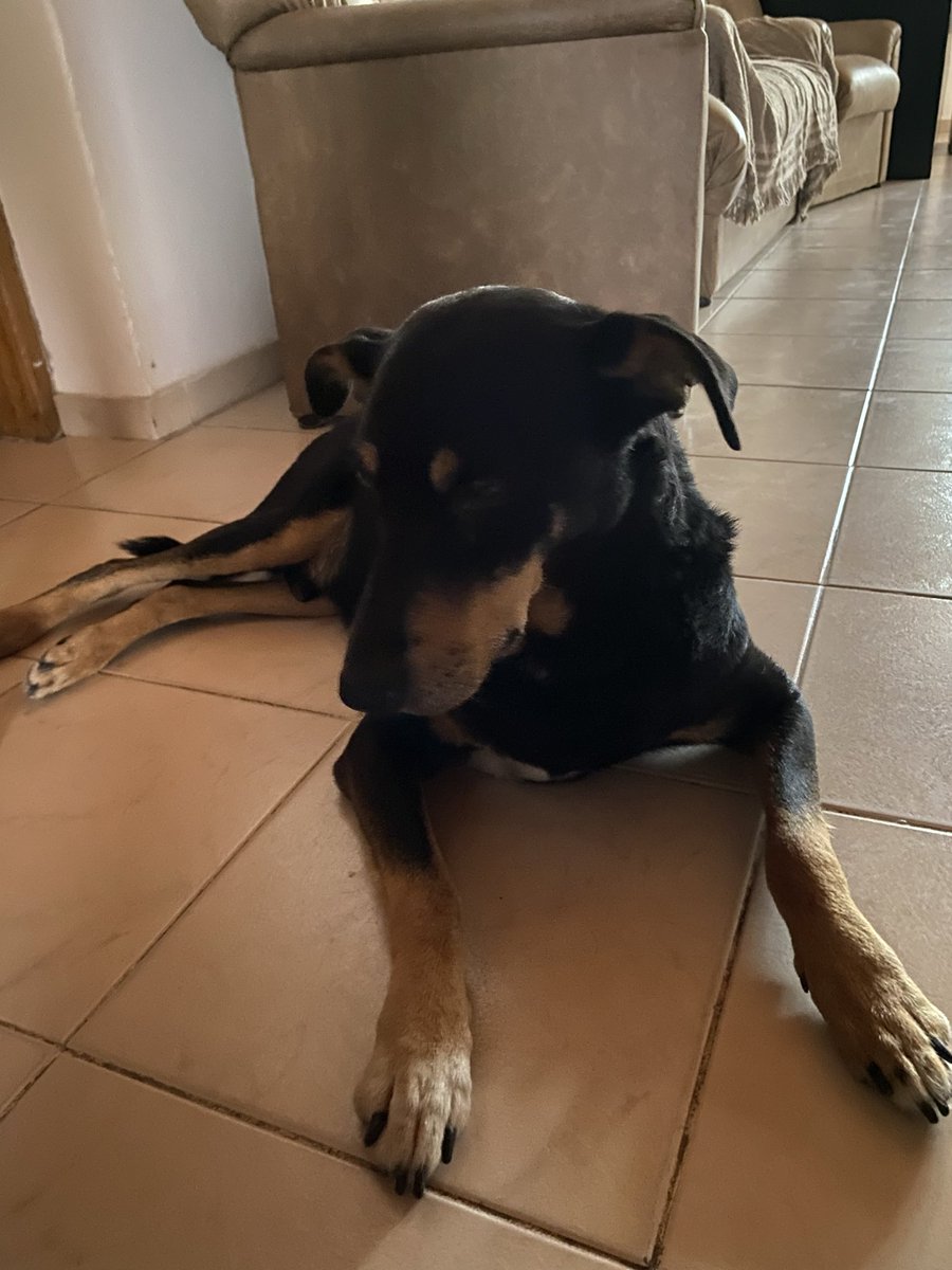 en la estrella mas bonita del mundo estas vos hilon seguramente mirando para aca abajo y yo siento lo mismo que vos porque te quiero y te extraño muchisimo descansa en paz mi rey y los dias pasaran pero nunca te olvido