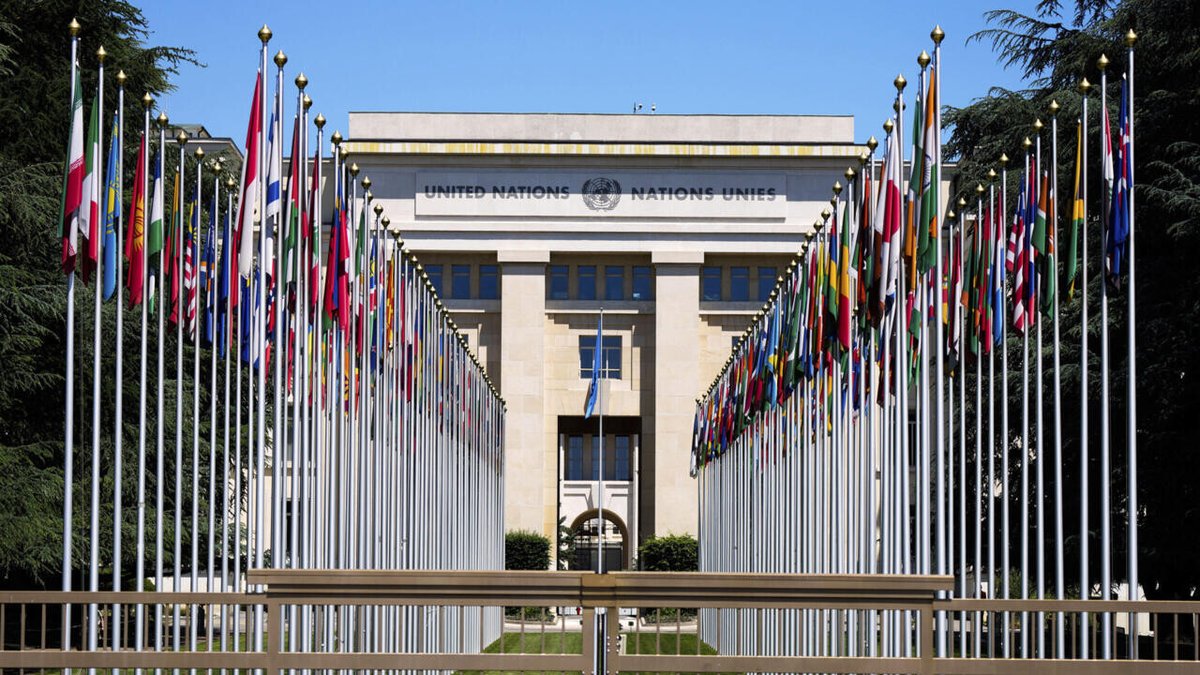 FRANCE 24 English tweet media