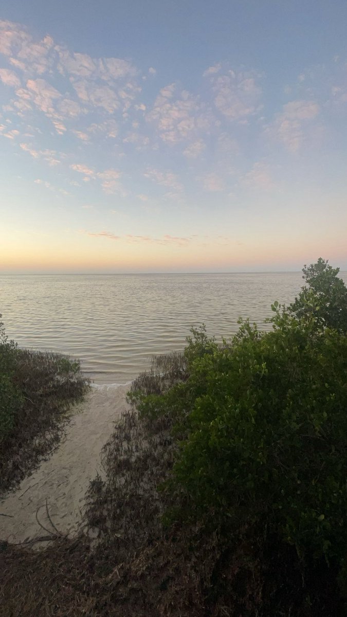 I smoked a joint here and bought Bitcoin.
