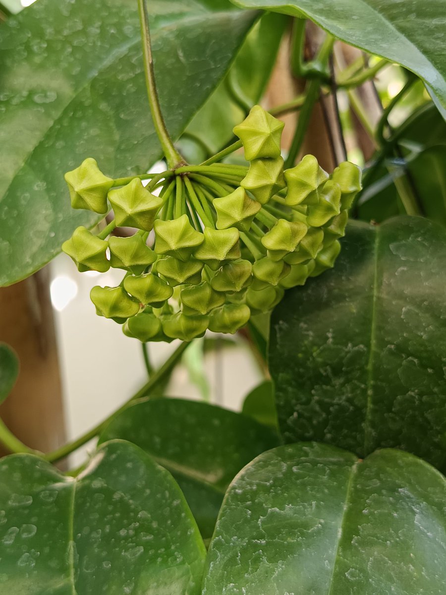 GIB 🍂🍄⛅ tweet media