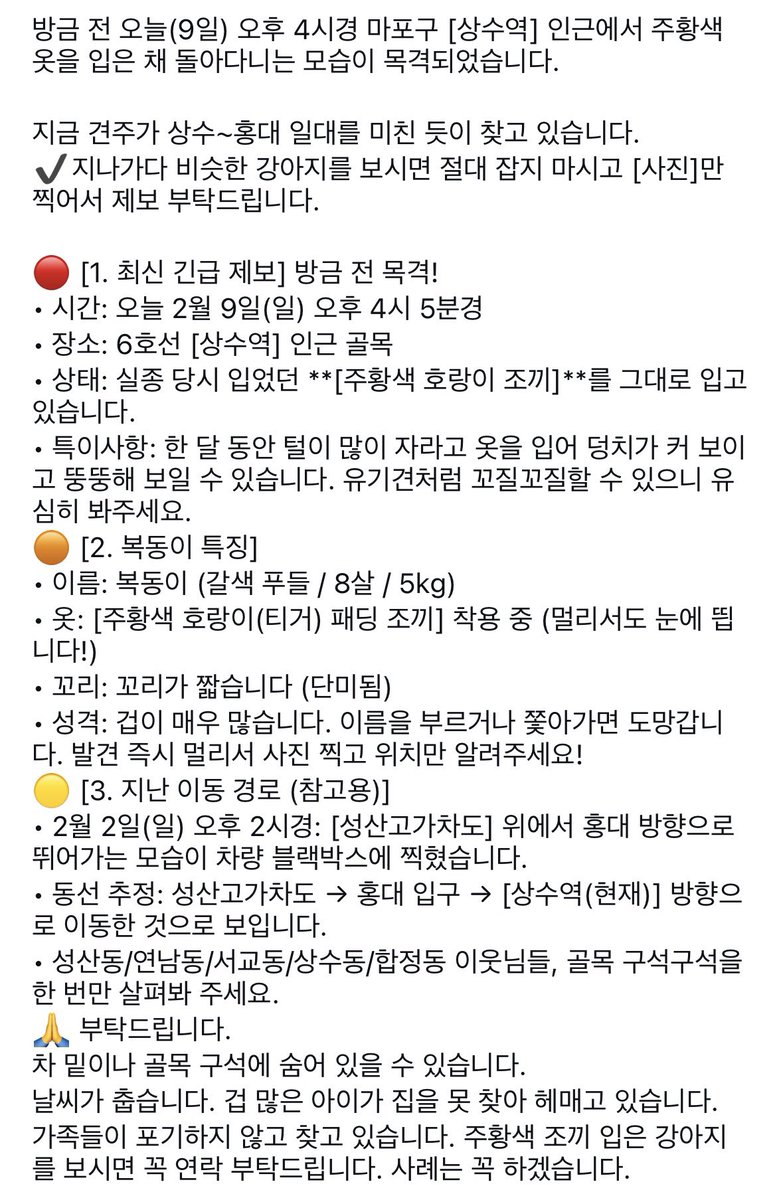 12월에 일산에서 잃어버렸고, 1월부터 월드컵공원과 홍대쪽에서 제보가 있었는데 마포 전단지를 제가 왜 이제야 봤는지 모르겠어요. ㅠㅠ 최근
제보는 어제 9일 성산이고 일주일 째 성산고가차도와 상수역 근처에서 제보가 있습니다. 역시 공유와 제보만이 아이를 살릴 길입니다. 많이 공유해 주세요.