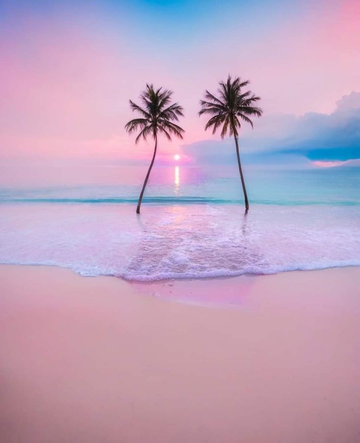 Aesthetics (@aestheticspost_) on Twitter photo 