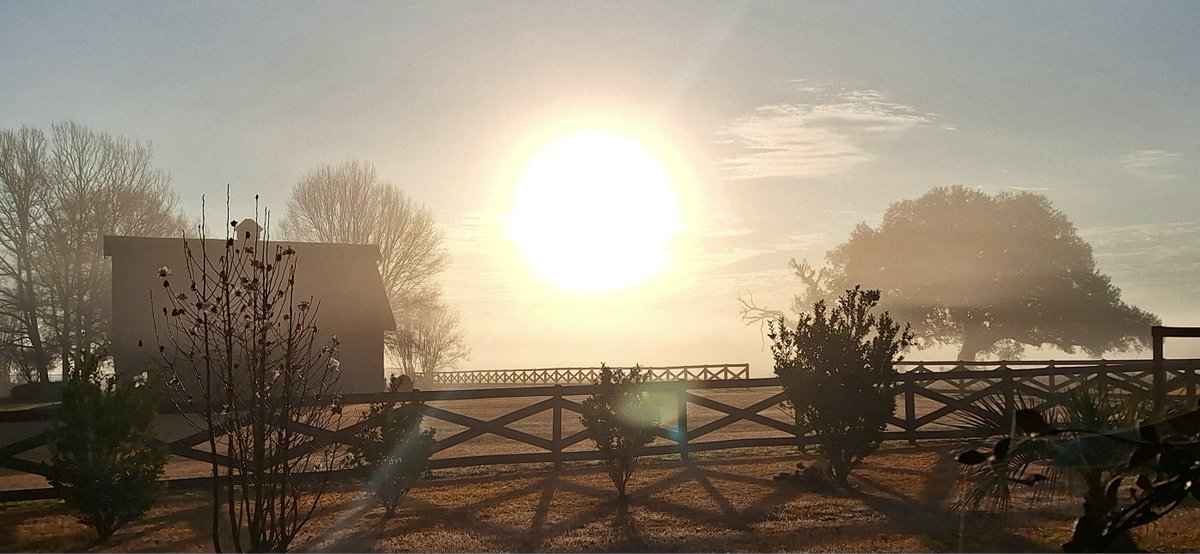 Carlton Euler sent us this photo in Grand Bay, more fog is possible on your Tuesday morning. View updated forecast anytime: fox10tv.com/weather/