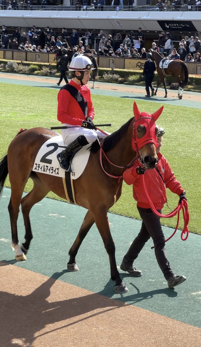 スティルアイライズ