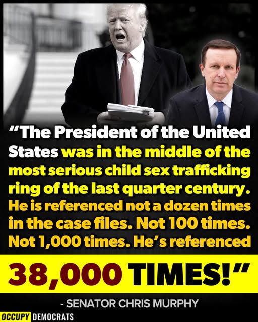 Poppy 💫🇦🇺☮🍅🥒🥕🥭🍊🍋 (@trevor_allan_1) on Twitter photo 