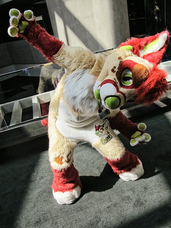 MulticolorBark tweet media