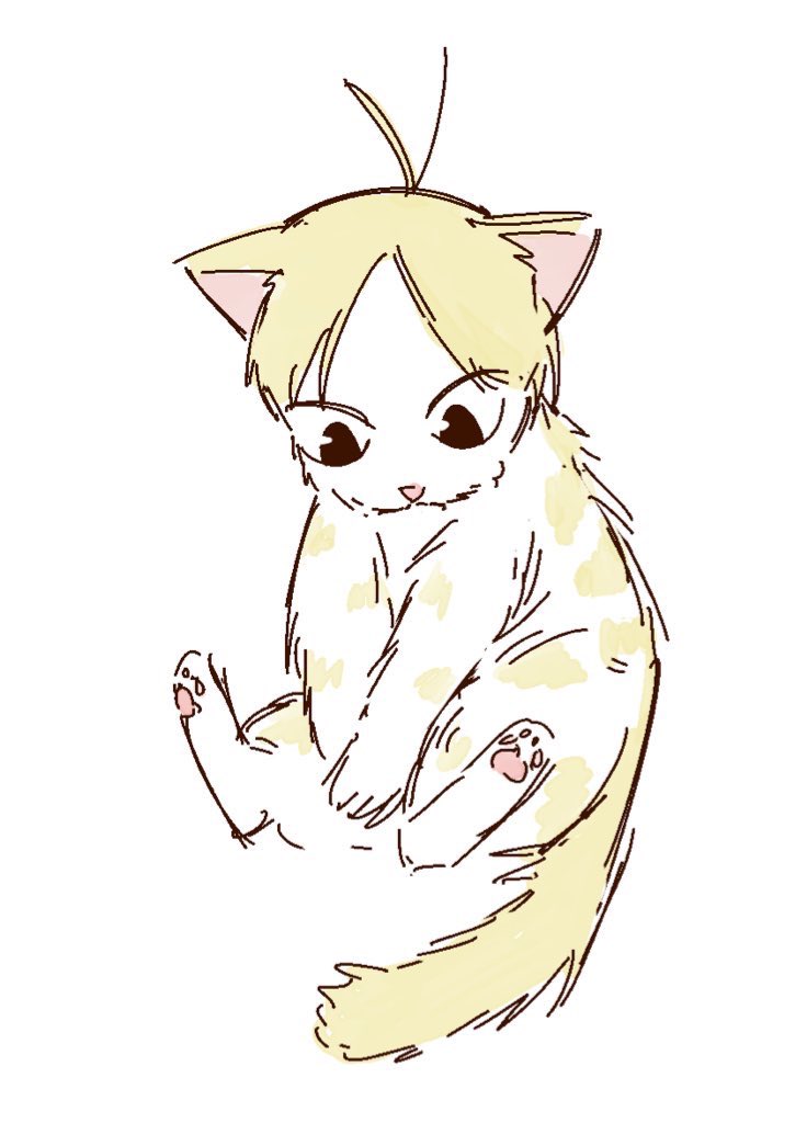 🐾🐱