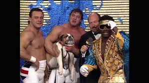 Robert O'Neill tweet media