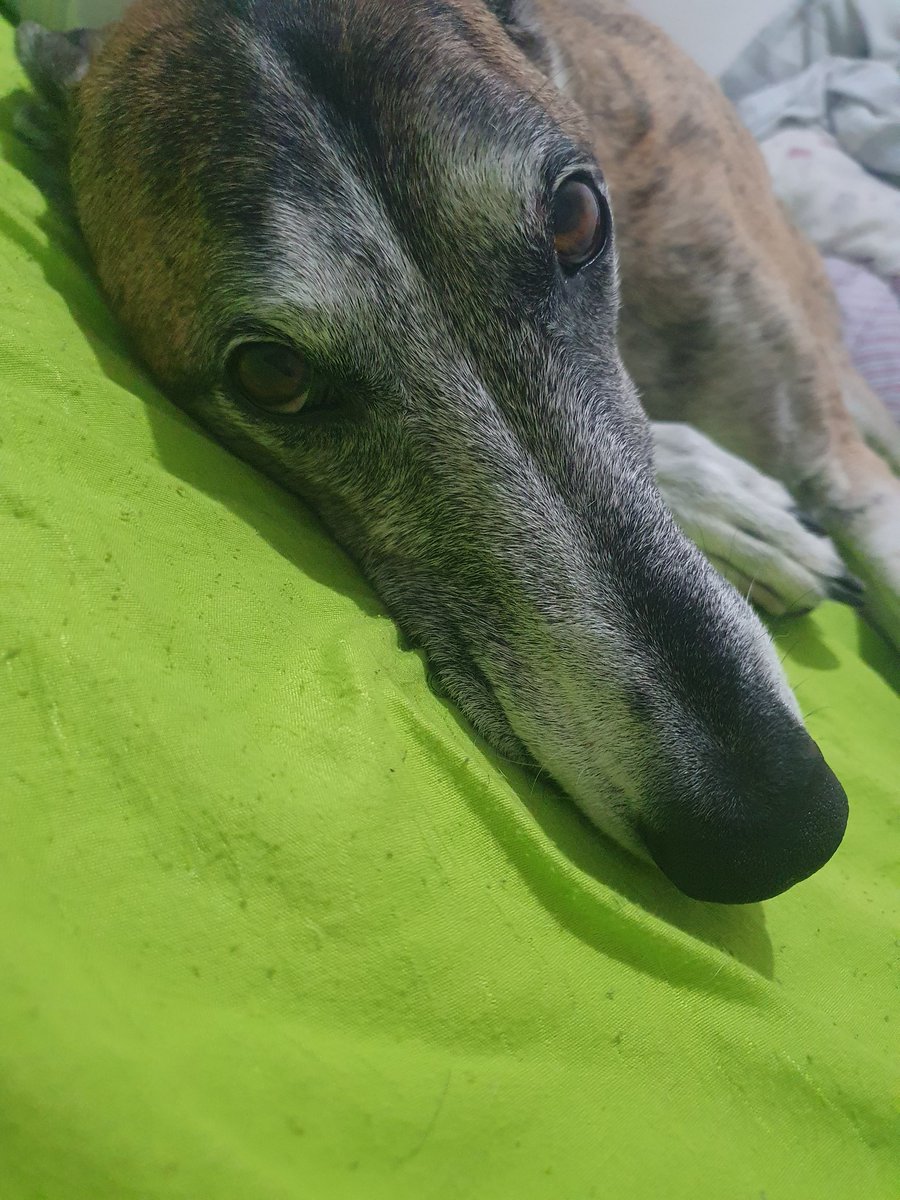 Verónica 🇦🇷 tweet media