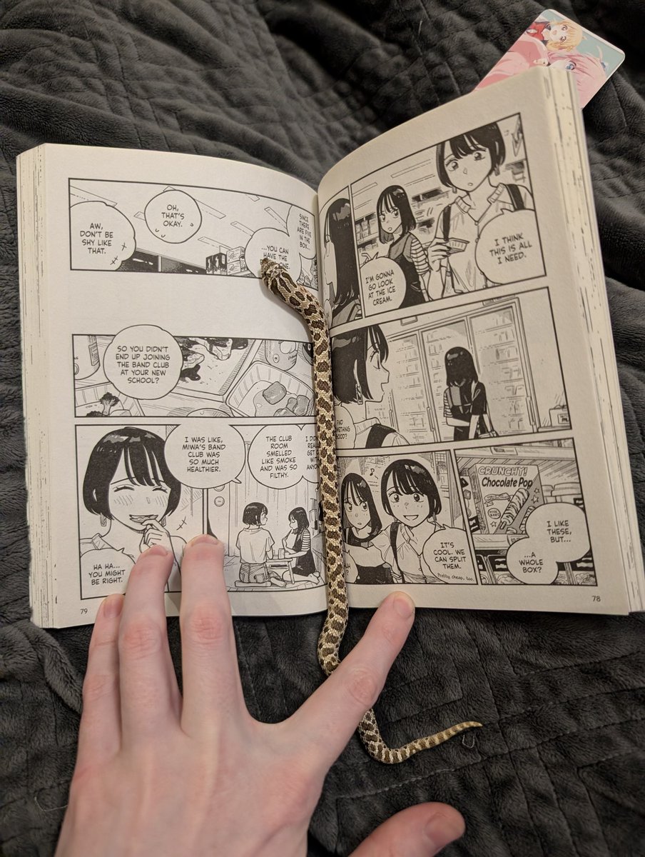 ✨ evie ✨ tweet media