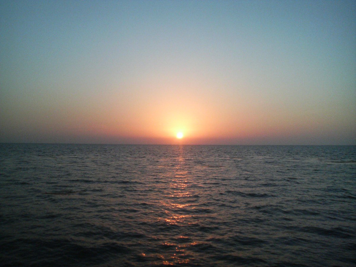 سياف السبيعي Sayaf tweet media