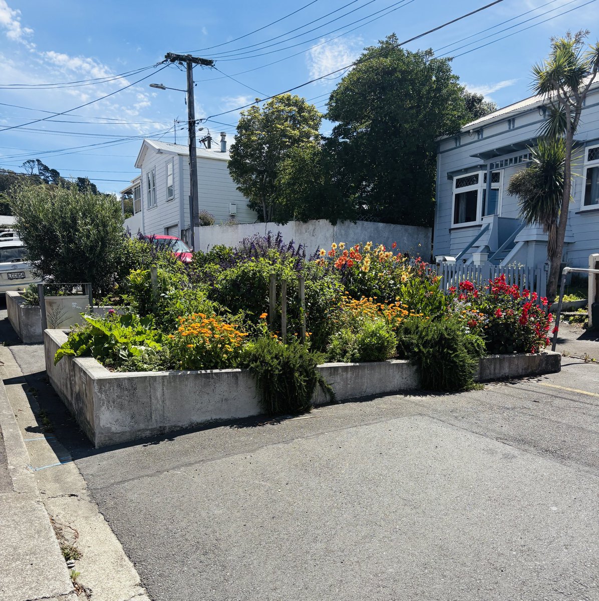 Peter Graczer tweet media