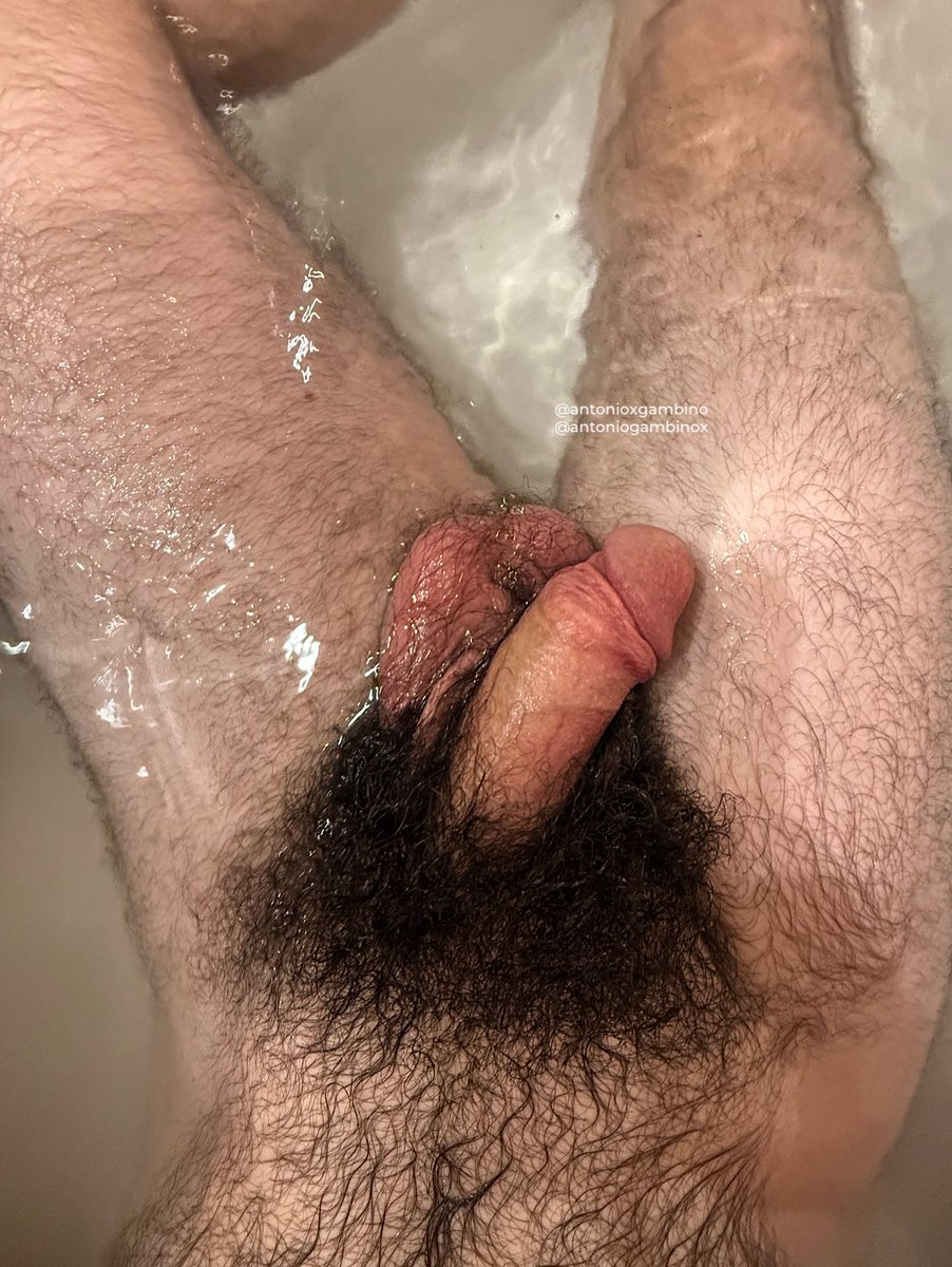 Antonio Gambino (Bush King 🤴) tweet media