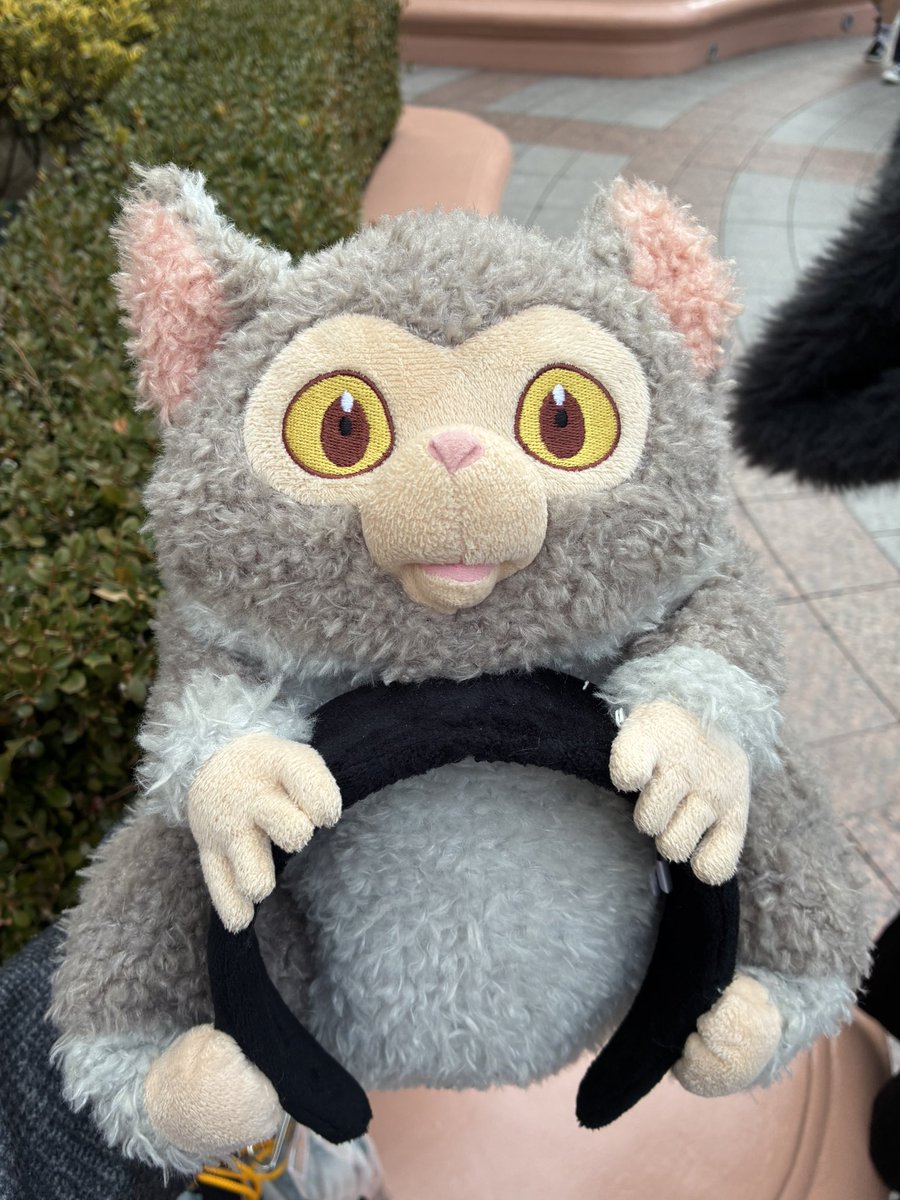 はきかね 交換垢プロカあり tweet media