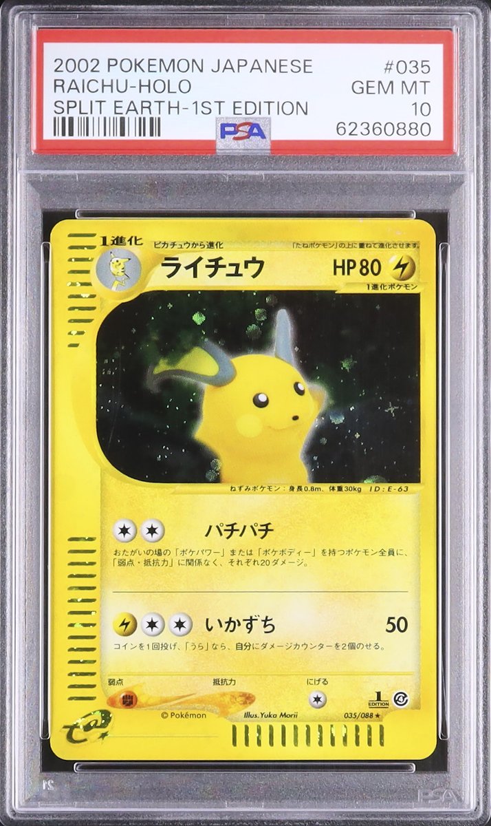 ◇ ────────────── ◇ 📸 本日のピックアップ