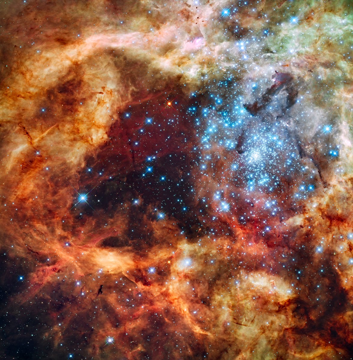 XmxHowes's tweet photo. Available here https://t.co/5m5J786sxW
#space #wallartforsale #wallart #gifts #giftideas #Astronomy #NASA #HubbleSpaceTelescope #StarFormingRegion #R136 #NGC #stars #nebula #stellarevolution #beautyofSpace #homedecor https://t.co/NE4X8C1LTn