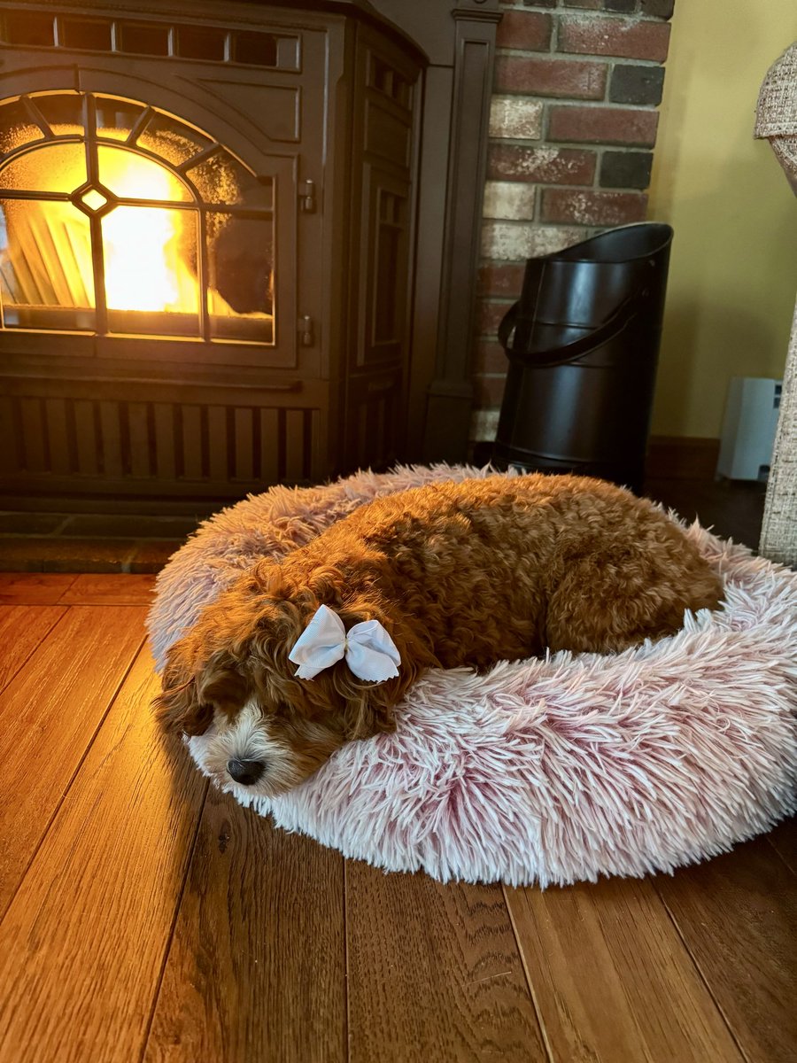 Jill Cofsky tweet media