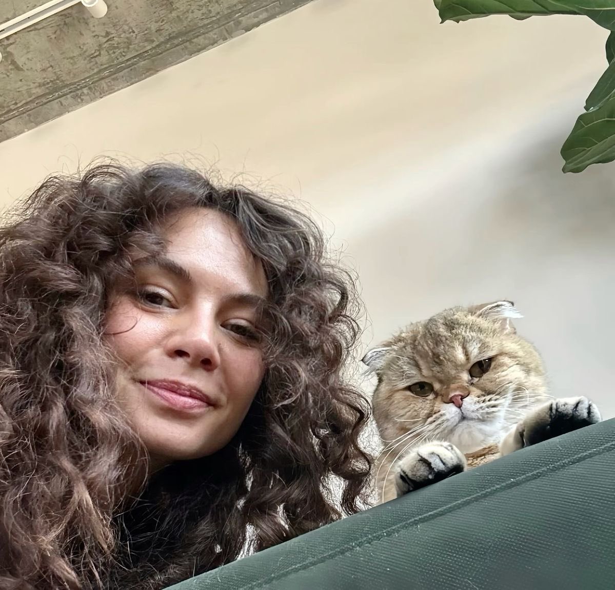 𝔥𝔢𝔞𝔯𝔱 𝔬𝔣 𝔱𝔥𝔢 𝔧𝔢𝔡𝔦 tweet media