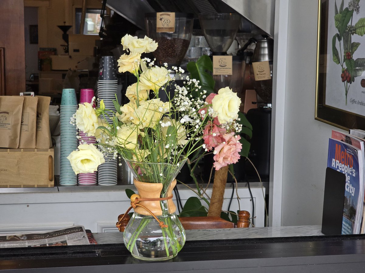 zipinsight's tweet image. 사장님이 사온 꽃을 적당히 케멕스 커피 브루워에 담아 봅니다

꽃 보면서 술 한잔 하고 싶네요 ㅎ

항생제랑 진통제 얼릉 그만 먹고 술 한 잔 할 수 있으면 좋겠습니다 ㅎ

2주간 금주라니 힘드네요 ㅎㅎ