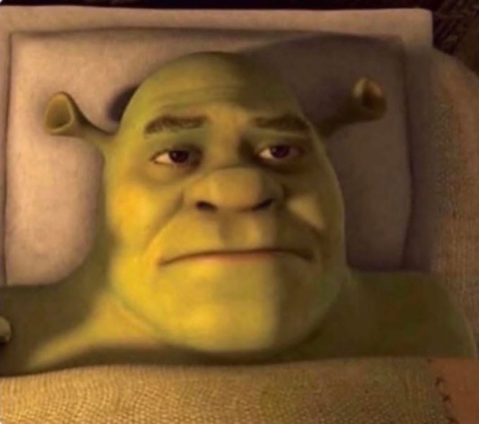 Je viens de realiser que peu importe l’heure à laquel je me couche j’ai quand meme pas envie d’aller au taff