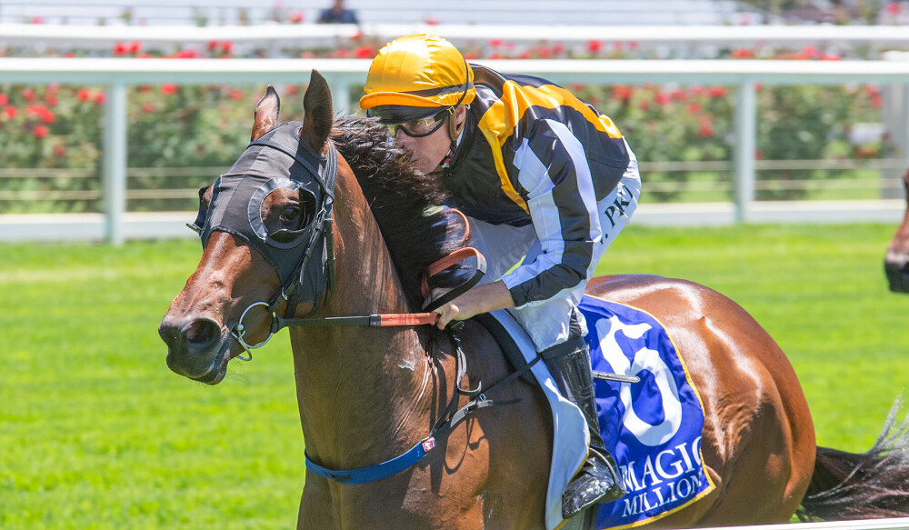 Giddy Up With Gareth Hall tweet media