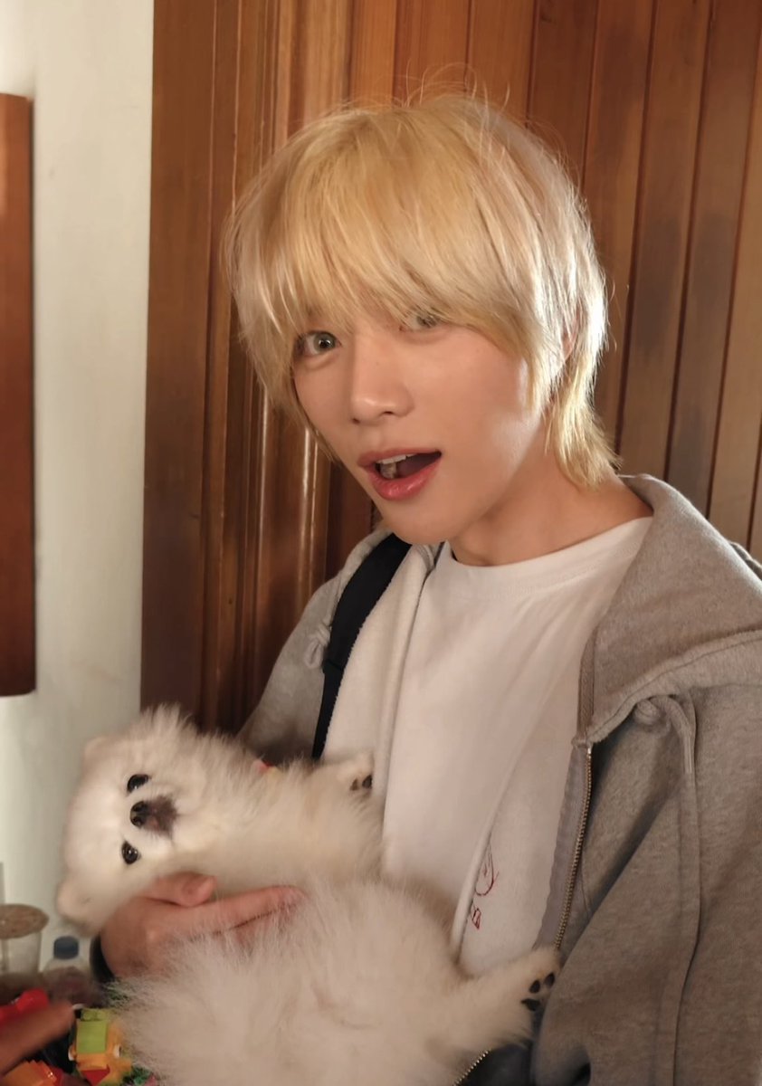 강아지들 범규랑 동기화 되는 거 너무 우끼네