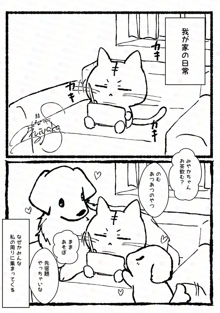 我が家の日常

大型犬みがある夫と小型犬みがある我が子。 