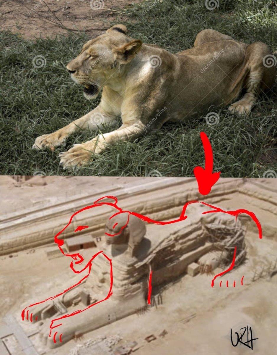 Unranked Human | 🟡 idle tweet media