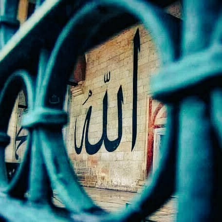 "Kim Allah'a tevekkül ederse,
Allah ona yeter.."

• Talak Sûresi,3