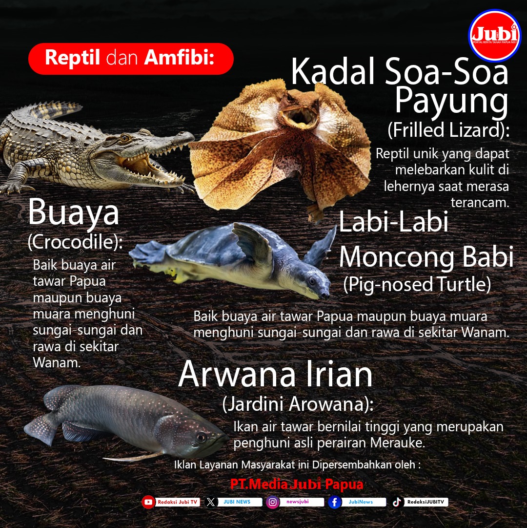 Di wilayah Wanam, Distrik Ilwayab, Merauke—yang merupakan bagian dari ekosistem lahan basah dan sabana Papua Selatan—terdapat berbagai satwa endemik yang unik. Karena karakteristik alamnya yang mirip dengan Australia, fauna di sini didominasi oleh kelompok marsupial (hewan