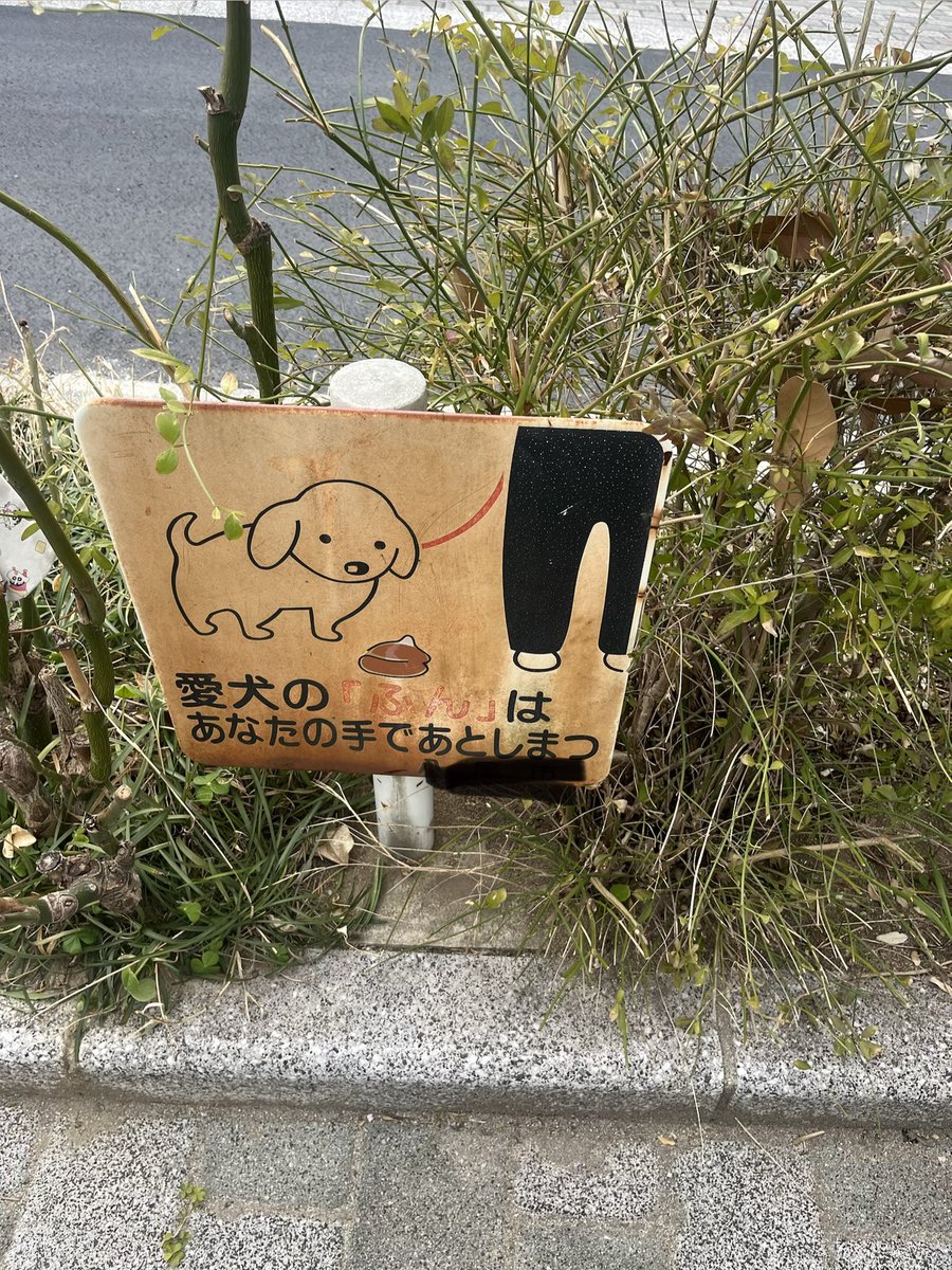 1歳の娘👶と散歩してて
ふと立ち止まって、指さして「あ、パパ!」言われた。😂
私は野糞する犬らしいです。