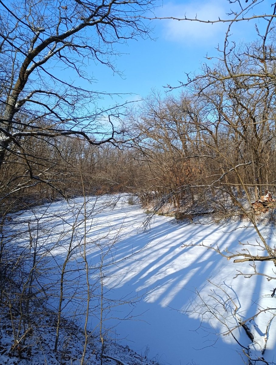 mia_lauri's tweet image. Wishing you a day full of positivity, new opportunities, and plenty of smiles! 
May today bring you joy and all the good vibes you deserve. Have an #amazing day ahead! 🌞