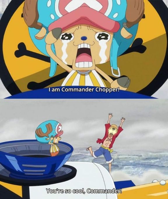 One Piece Daily tweet media