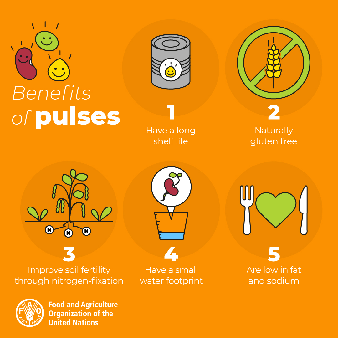 Food and Agriculture Organization tweet media