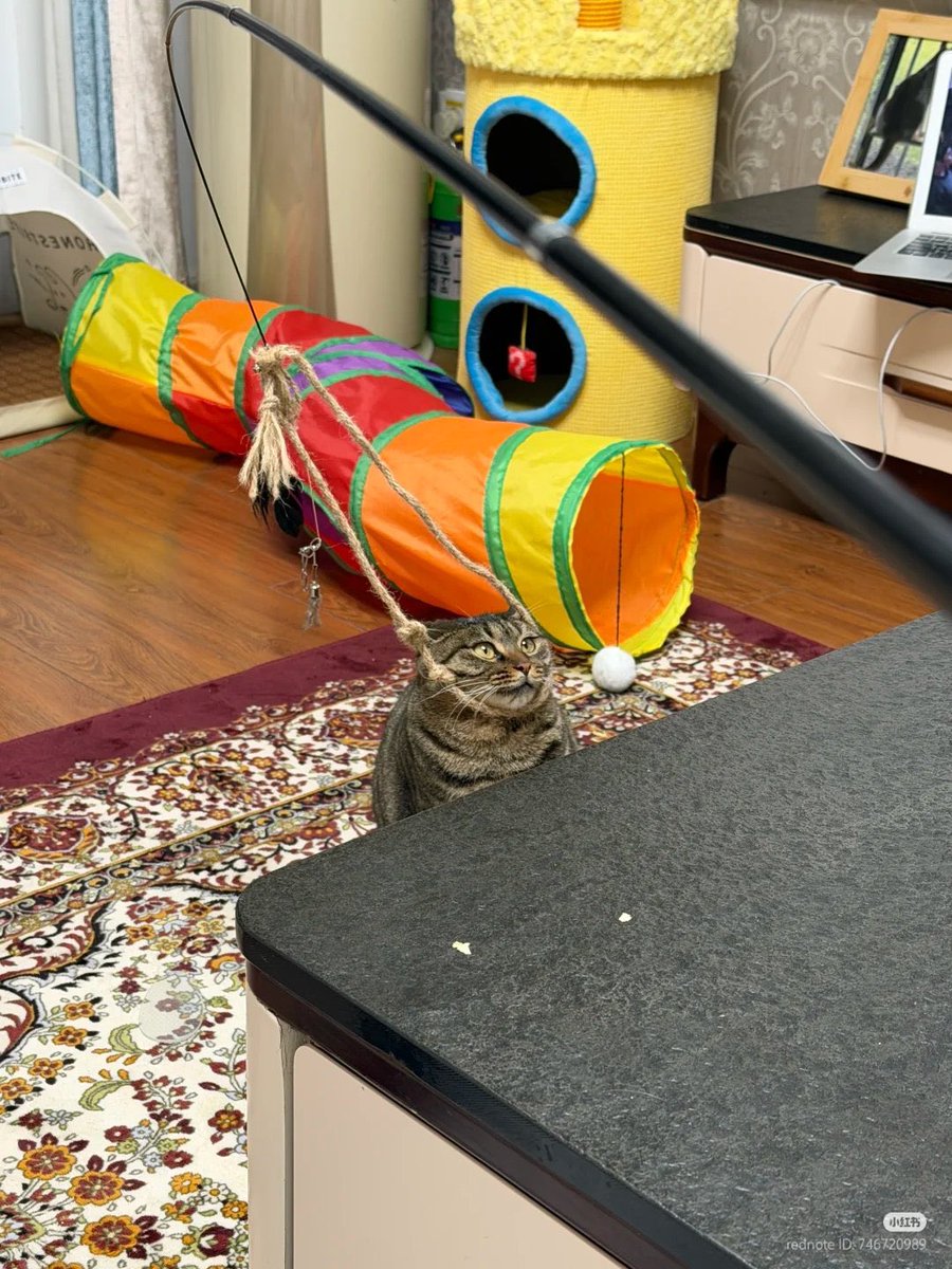 godxfjm's tweet image. สภาพหลังรู้ผลเลือกตั้ง