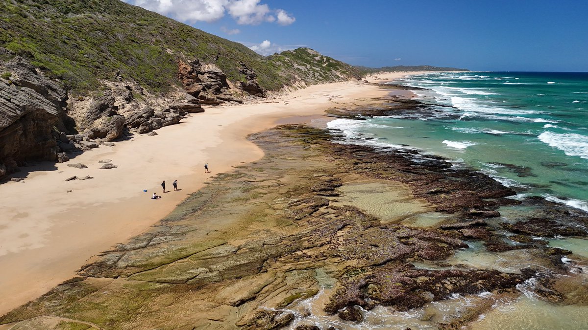 Garden Route Trail tweet media