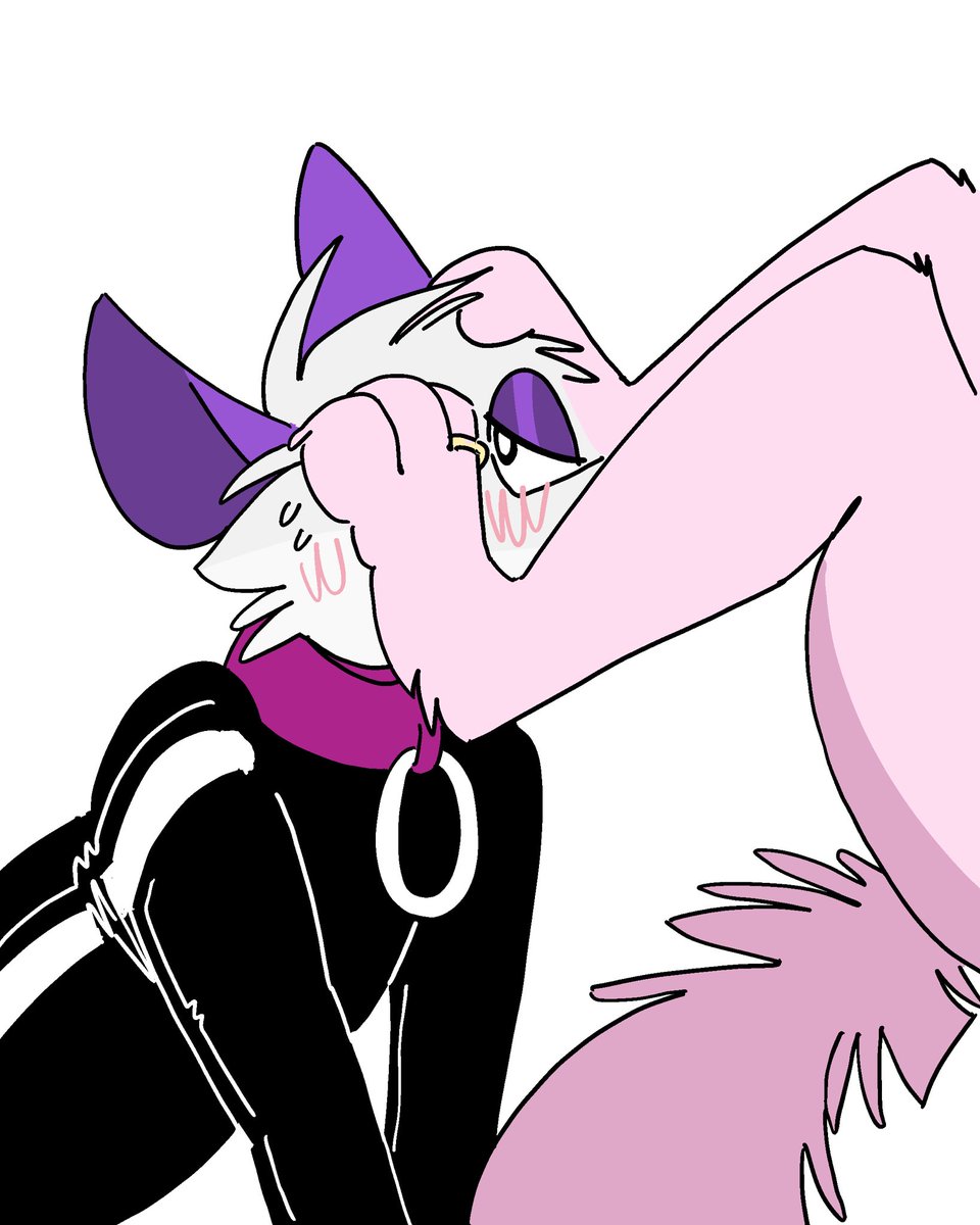 mirt the possum tweet media