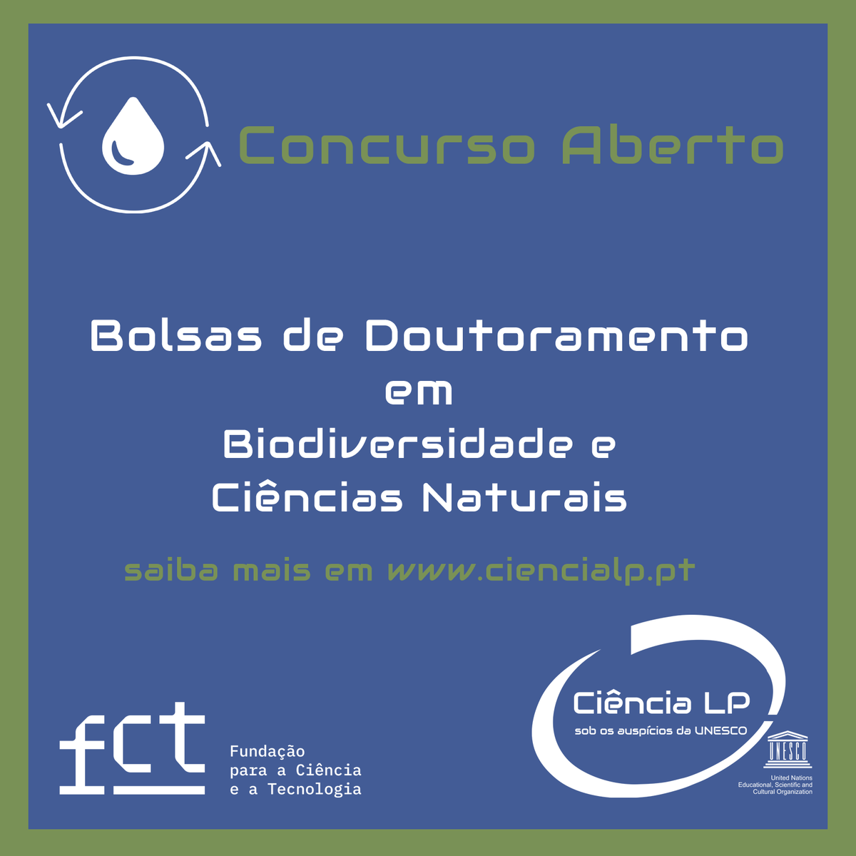 Já está aberto o primeiro concurso de 2026 para atribuição de bolsas de ...