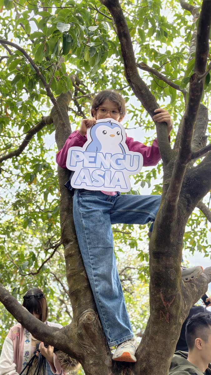 Arthur Fong 冯安健 tweet media