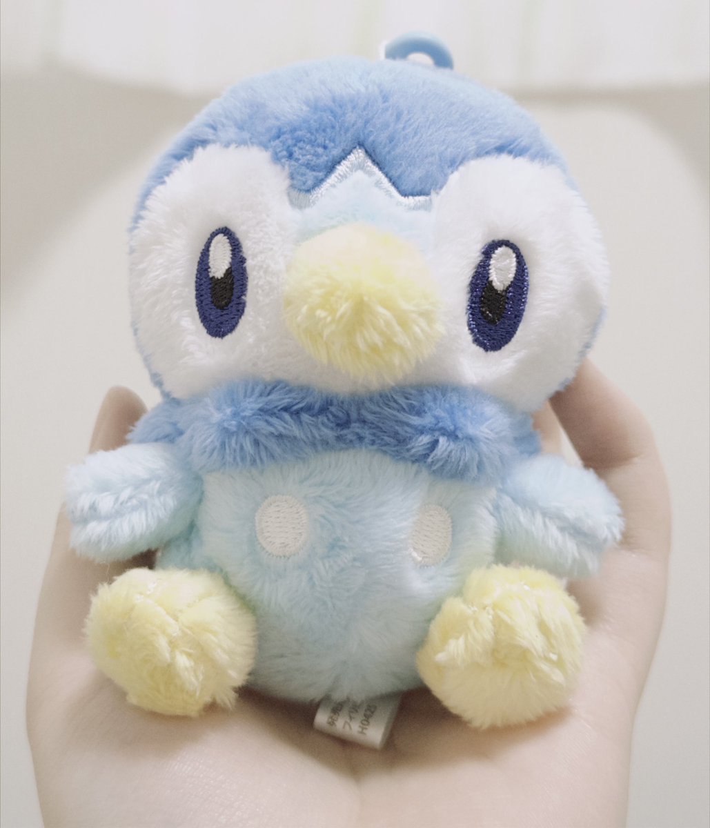 ぽっちゃまオーダーページ POCHA (@pocha_393) / Posts / X