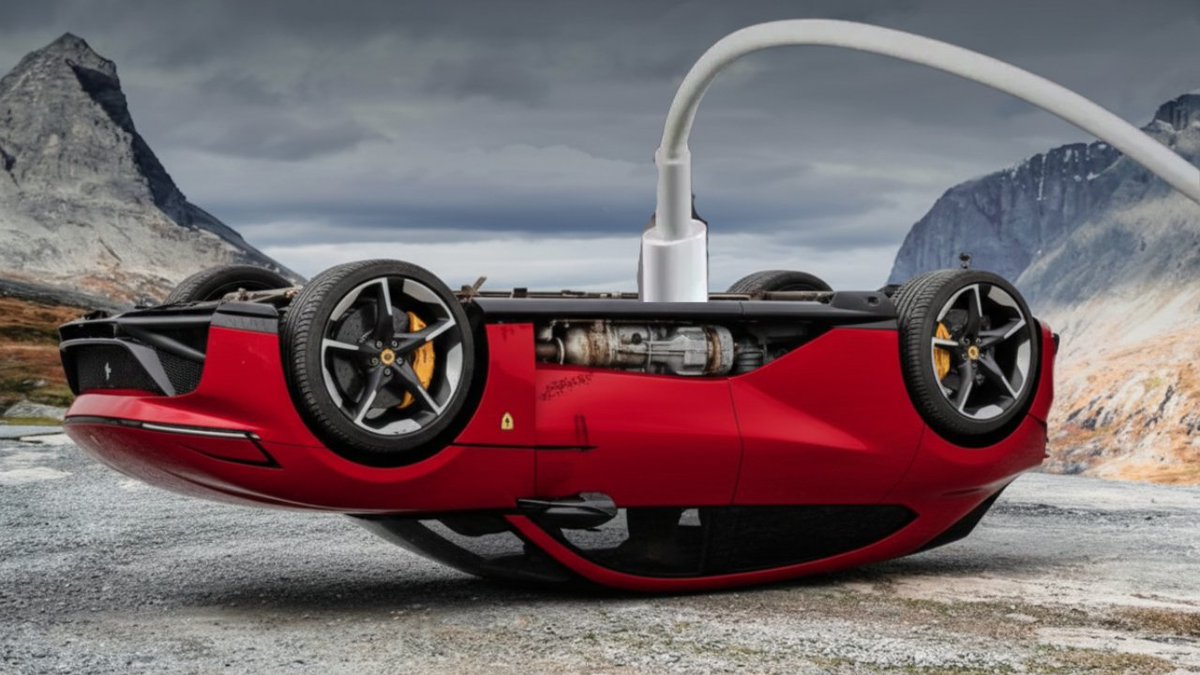 Dan Ilic tweet media