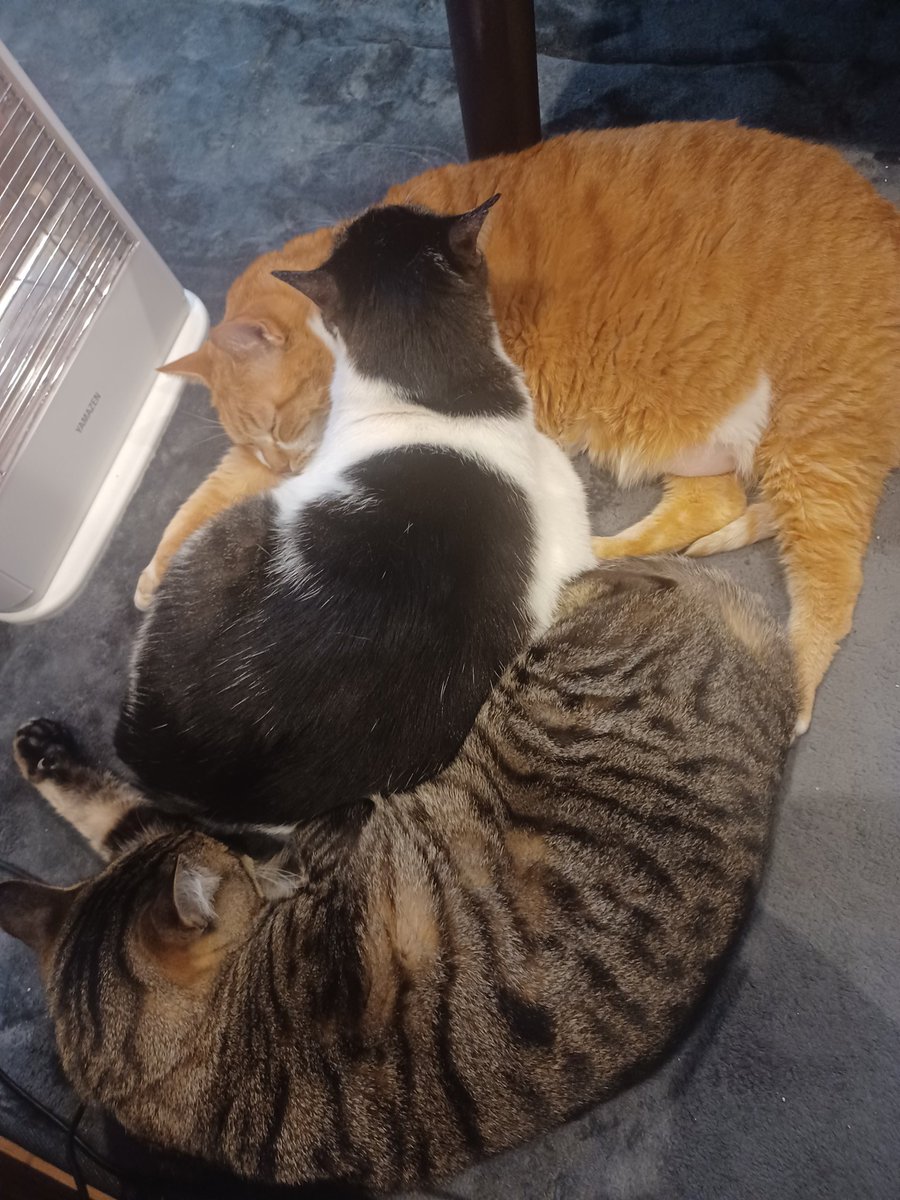 ユメ@絵師になりたい (@yumeto20091024) on Twitter photo 