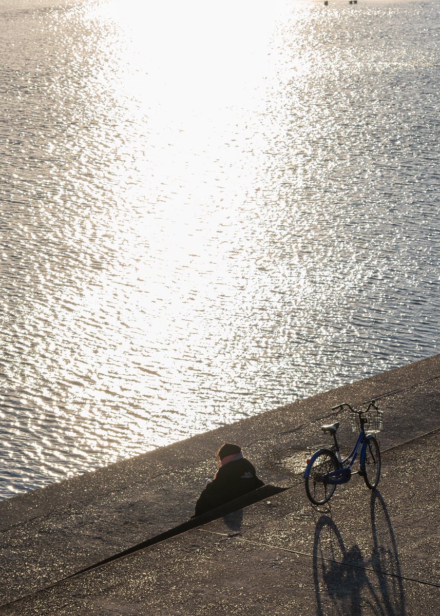 nimograph's tweet photo. 2026.2.8 阪堺線沿線の風景④

#fujifilm_xseries https://t.co/VOmOl7hs0L
