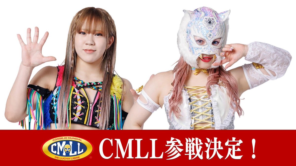 スターダム💙スターライト・キッド🐯🤍 (@StarLight_Kid11