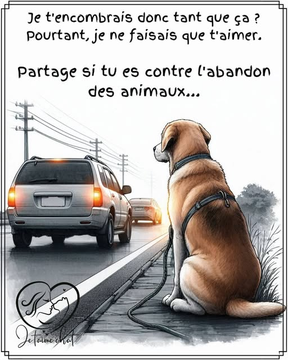 MelaniaFrance's tweet image. RT EN MASSE POUR DES ANIMAUX !