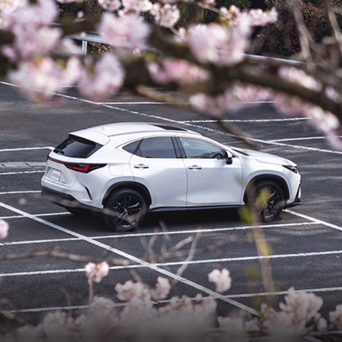 Lexus South Africa tweet media