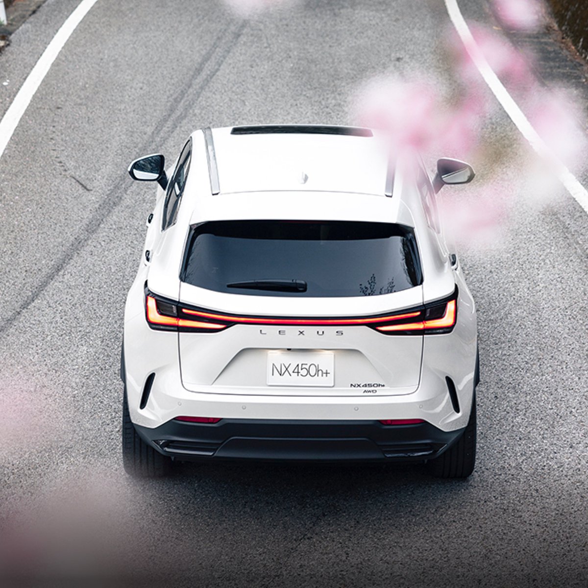 Lexus South Africa tweet media