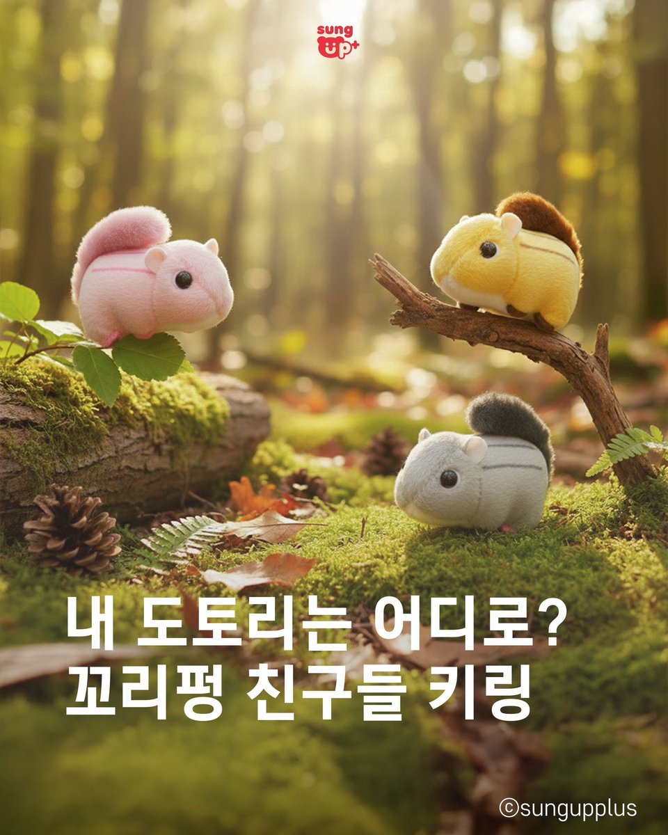 (주)성업플러스 공식 채널 tweet media